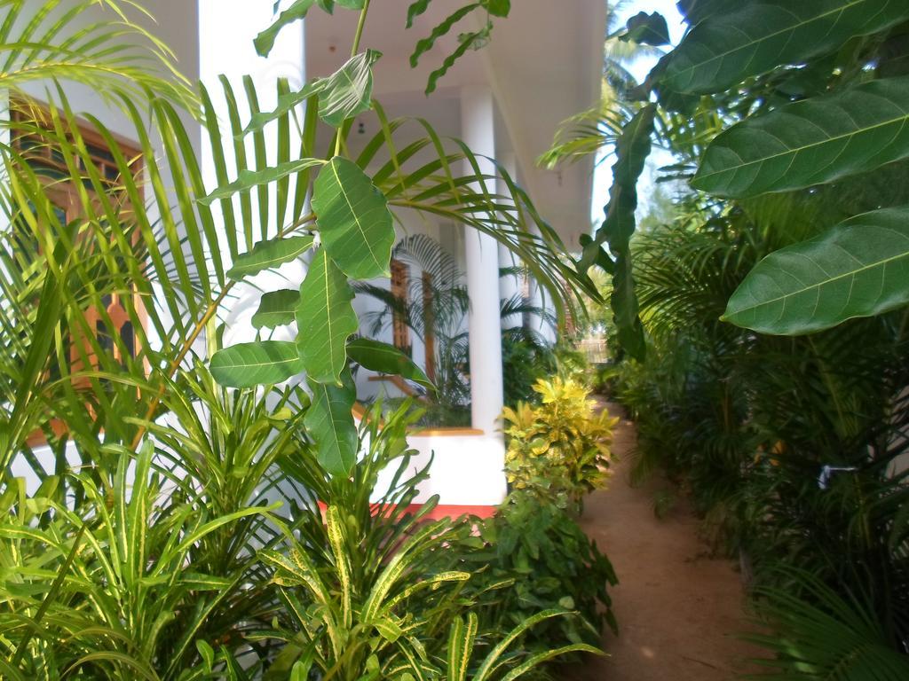 Surf & Sand Hotel Arugambay Arugam Bay Exterior foto